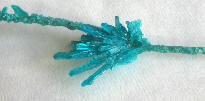ВCrystal growing of copper sulphate: Crystal of copper sulphate - the seed.- Stage №4
